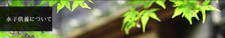 q{ɂ